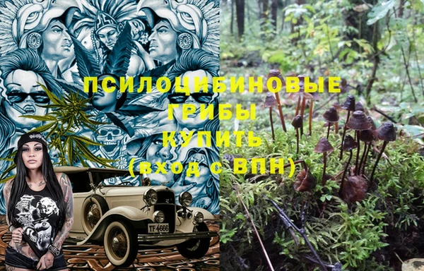 каннабис Майский
