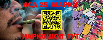 СК Гагарин