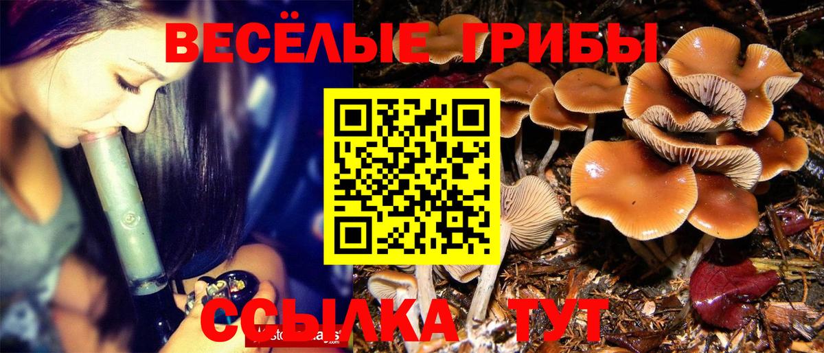 цены наркотик  Псилоцибиновые грибы Cubensis  Вход с VPN  Изобильный 