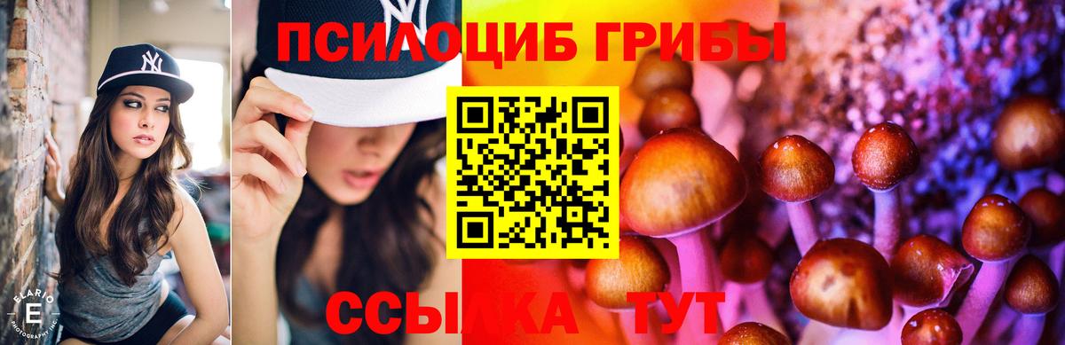 Галлюциногенные грибы мицелий Изобильный