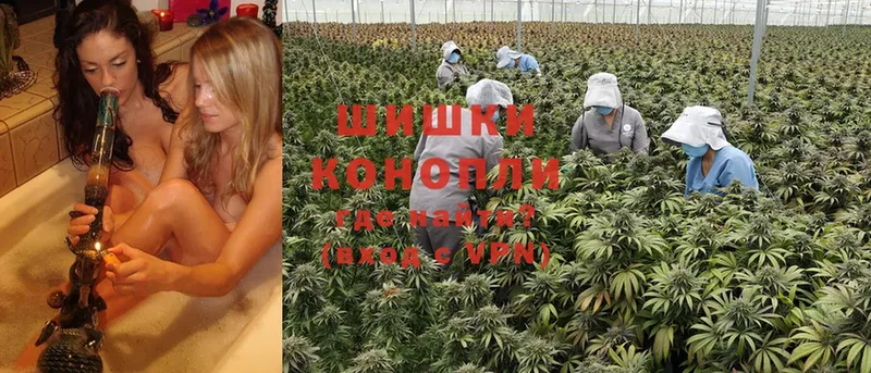 даркнет официальный сайт  где продают   Изобильный  Канабис Ganja 